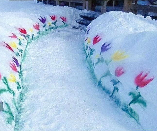 16 вещей, которые вы увидите только в Канаде 16 вещей, которые вы увидите только в Канаде