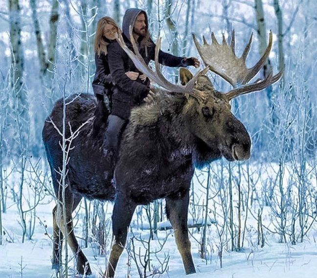 16 вещей, которые вы увидите только в Канаде 16 вещей, которые вы увидите только в Канаде