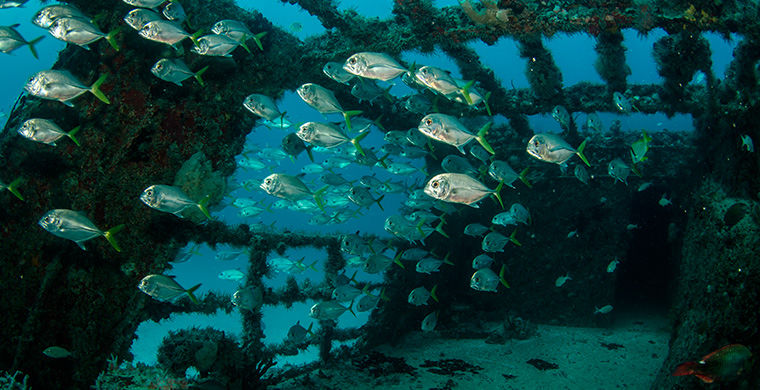 6 живописных кладбищ затонувших кораблей