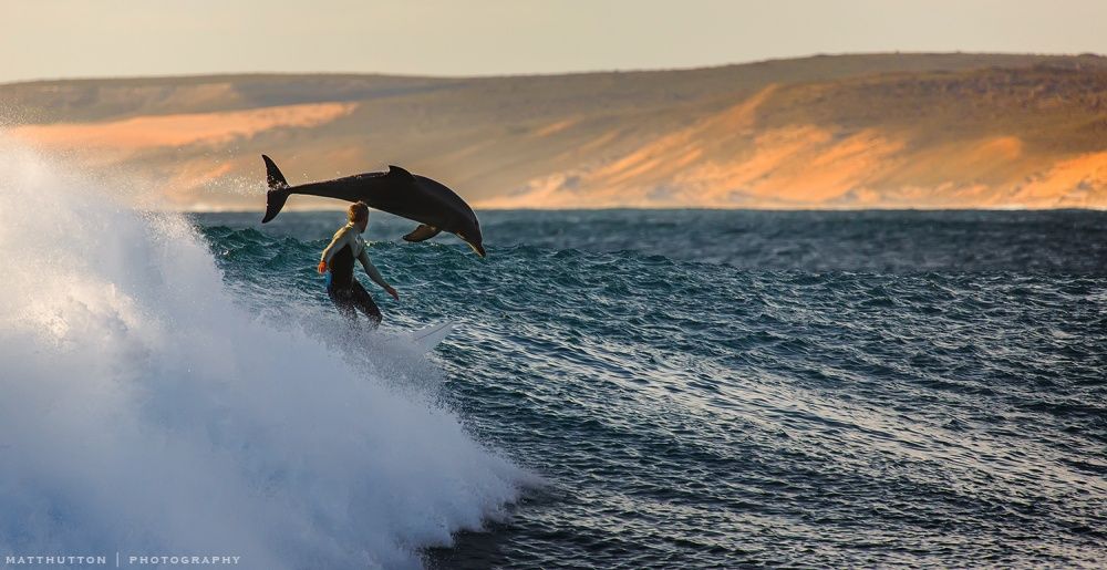 Когда очень хочется в Австралию Когда очень хочется в Австралию