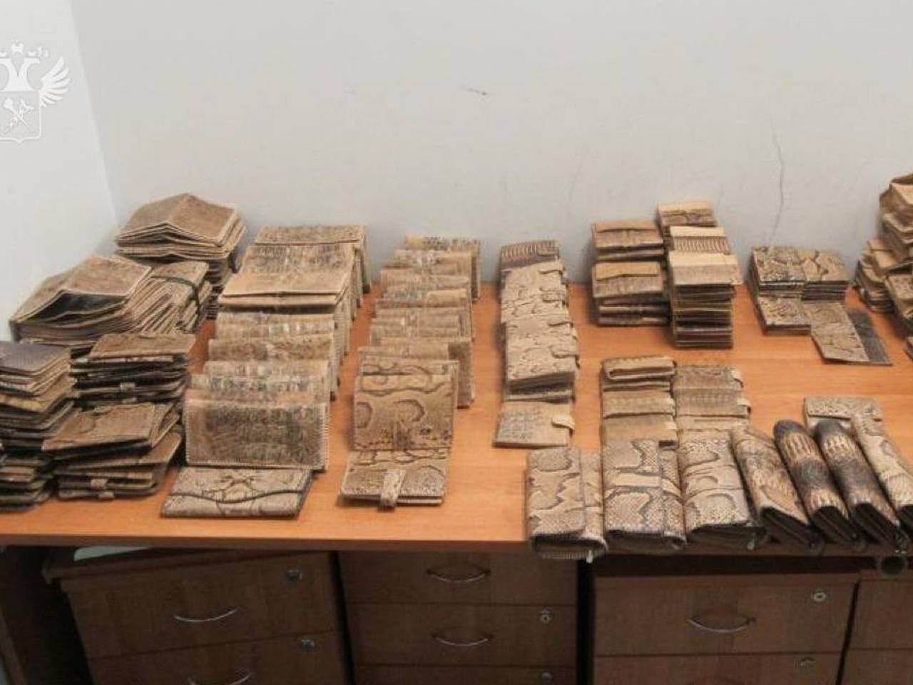 Пассажир привез из Стамбула изделия из питона и крокодила и попался таможенникам в Казани