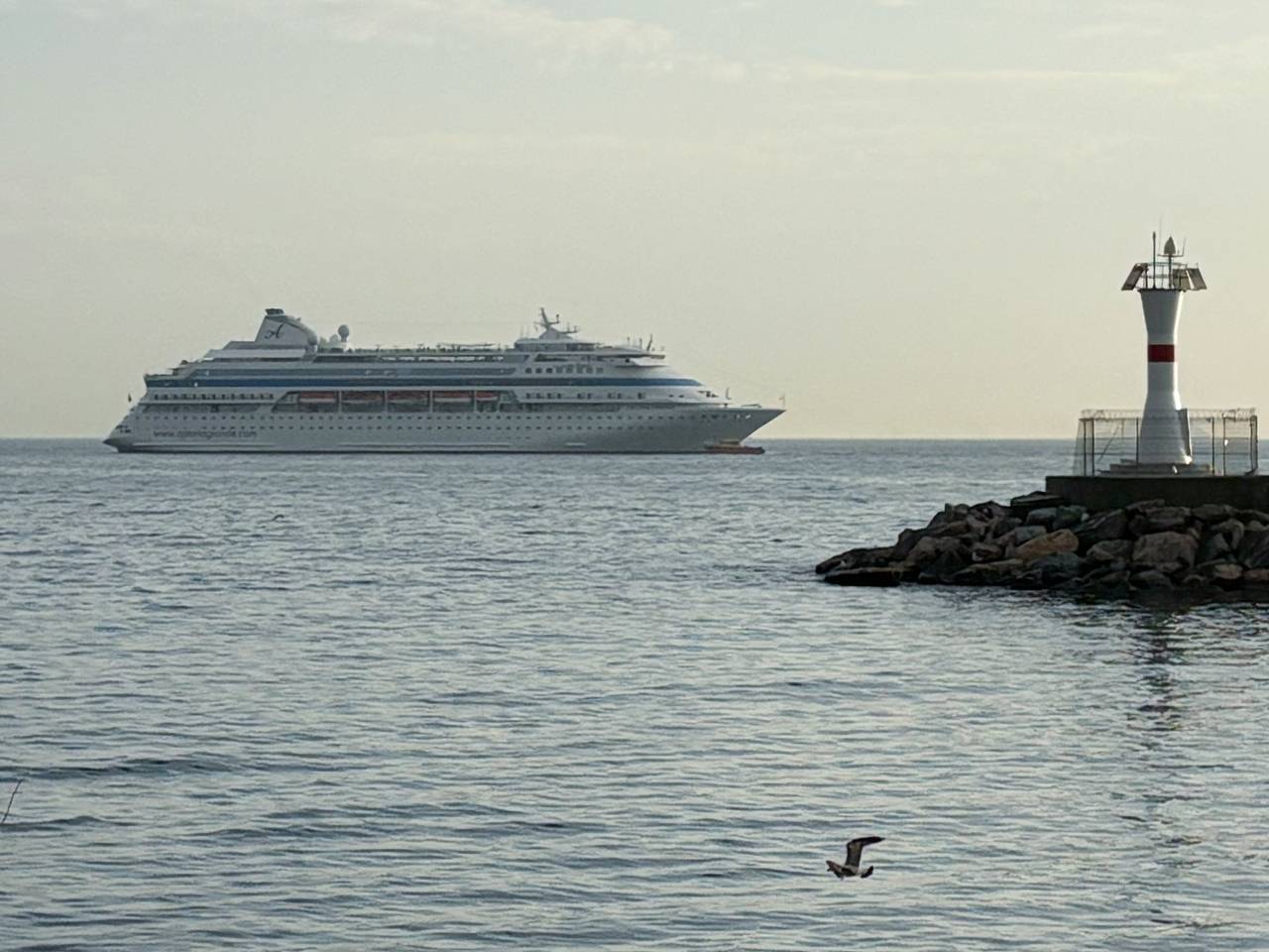 Раскрыта судьба застрявшего в Турции круизного лайнера с сотнями россиян