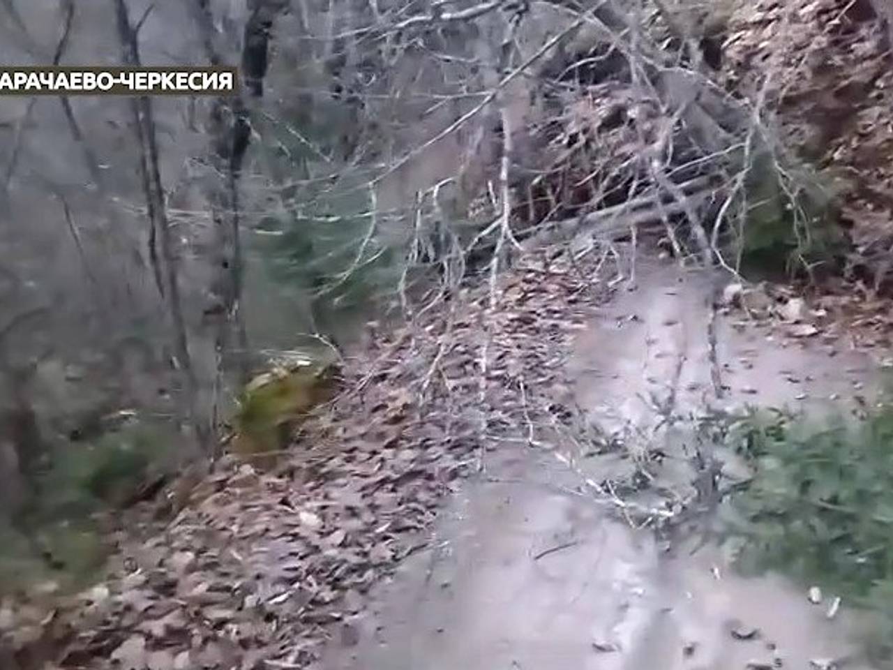 На юге России сошедший сель заблокировал 21 человека в районе туристической пещеры