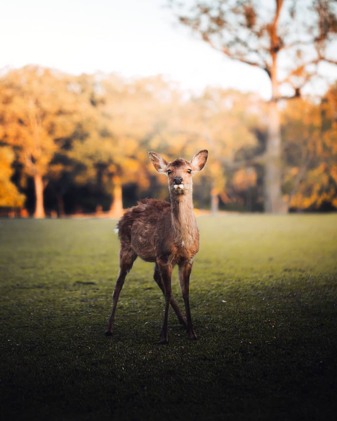 Путешествия и приключения на снимках Кинана Лама