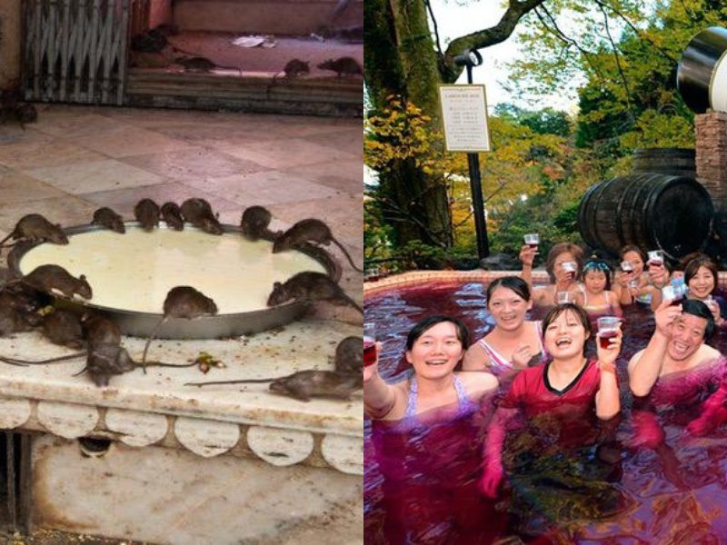 6 туристических достопримечательностей, которые понравятся не всем 6 туристических достопримечательностей, которые понравятся не всем