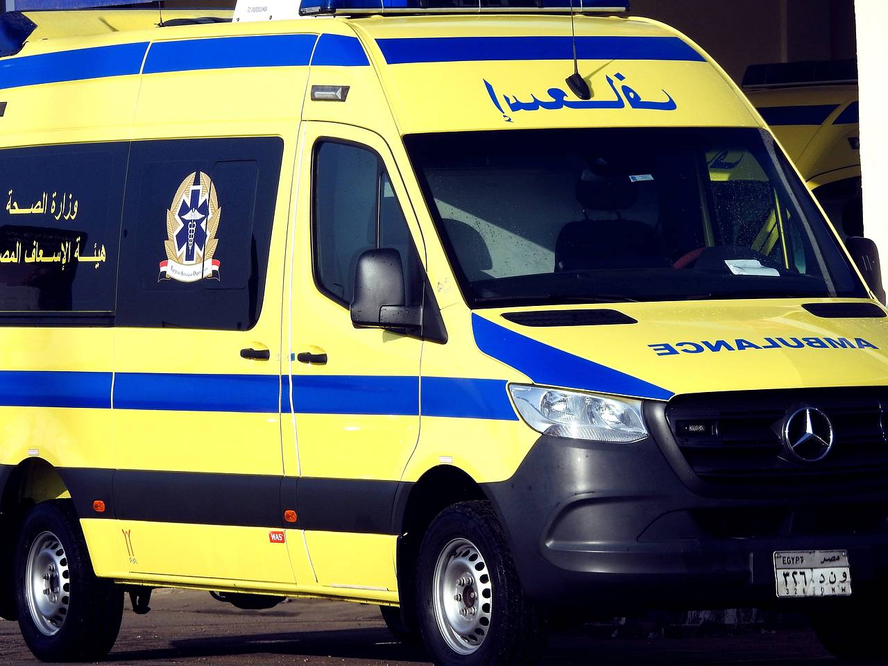 В ДТП с автобусом с российскими туристами в Египте появились жертвы