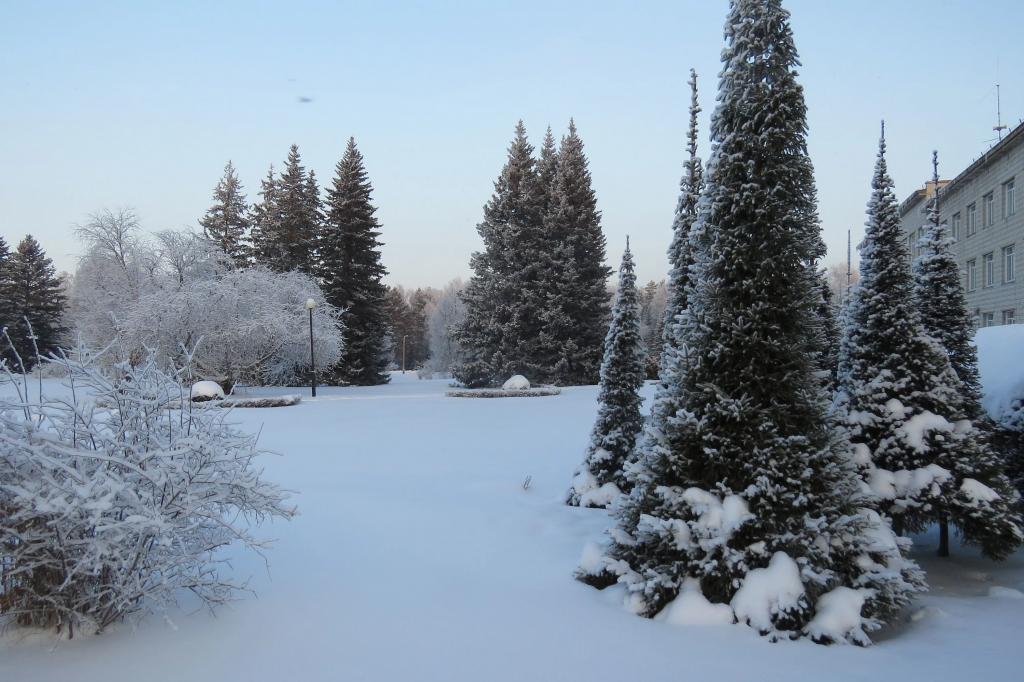 Академгородок и озеро Обь: музеи науки и сибирская природа Академгородок и озеро Обь: музеи науки и сибирская природа