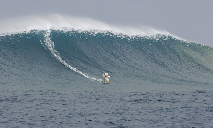 Потерянный плюшевый слоник путешествует по миру