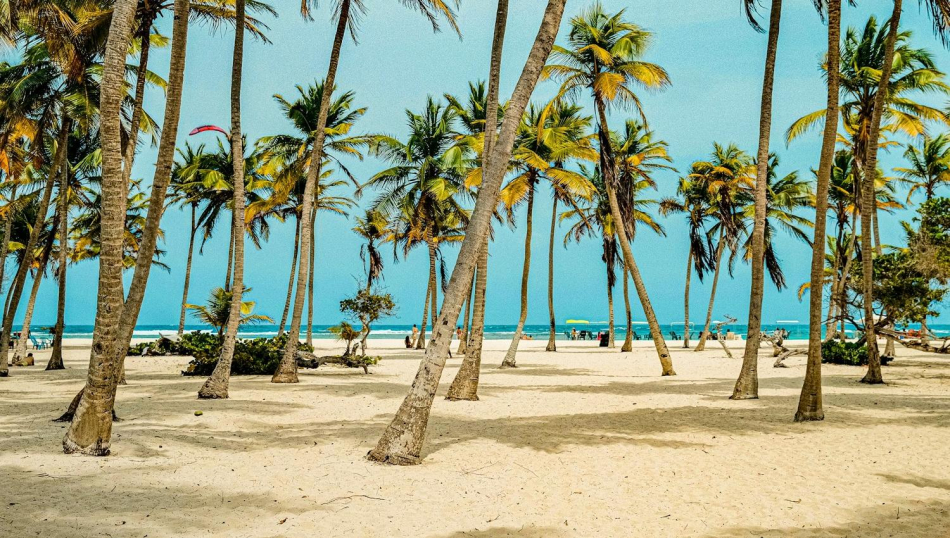 Венесуэла закрыла небо для 6 авиакомпаний