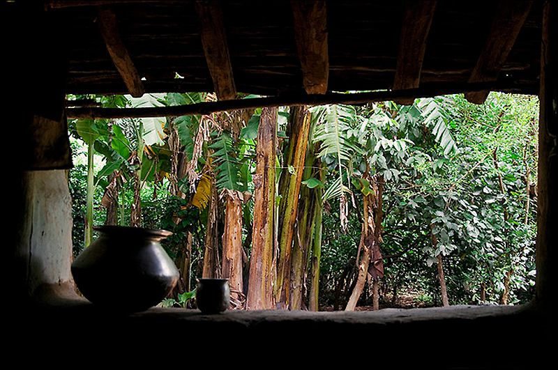 41 потрясающе атмосферное фото Индии 41 потрясающе атмосферное фото Индии