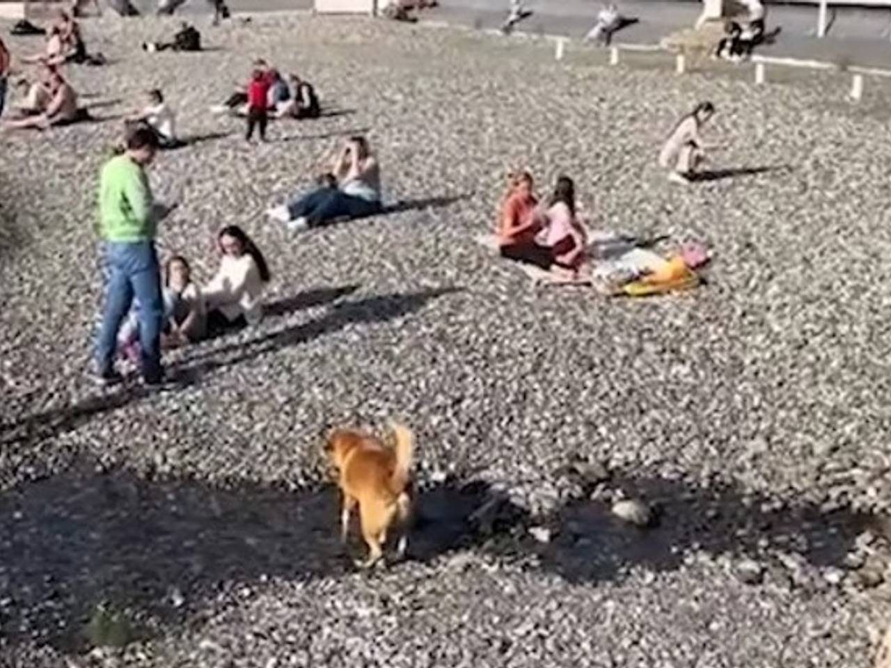 Туристы вышли позагорать на пляж Сочи из-за неожиданной жары и попали на видео