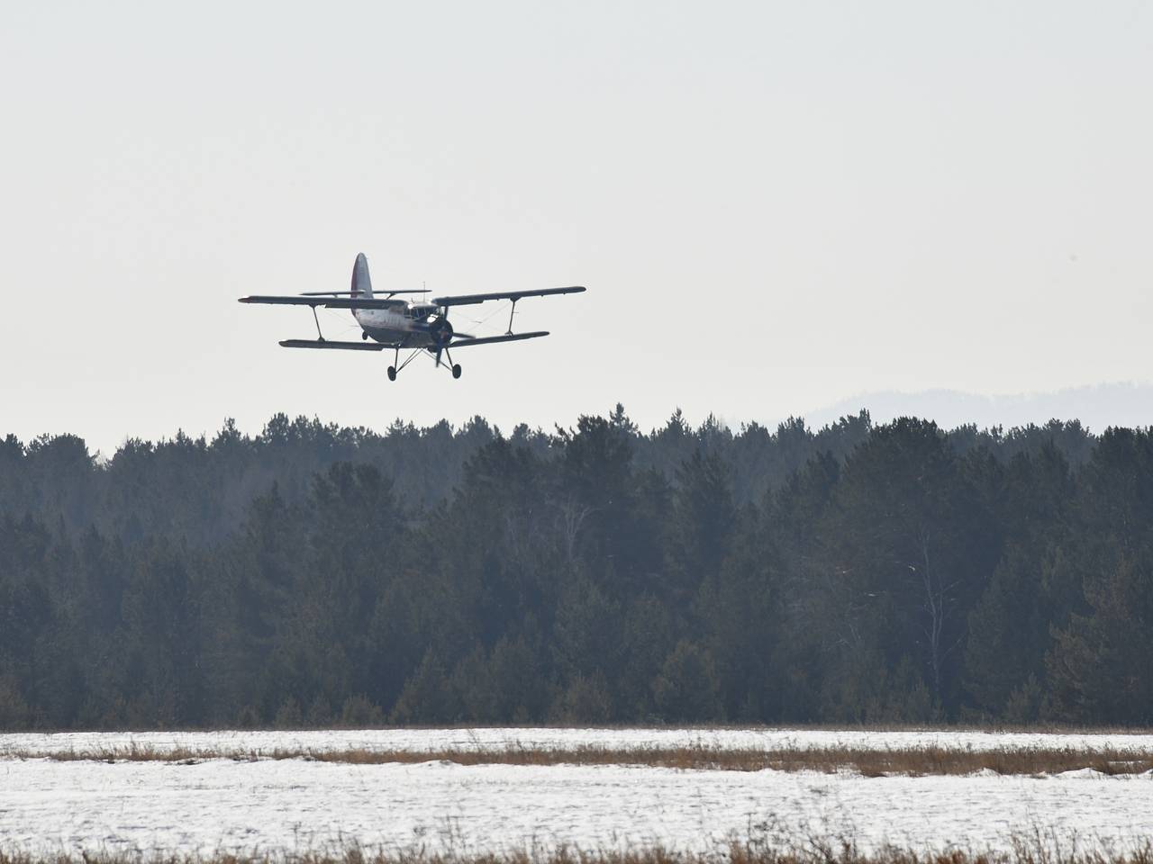 Пассажирский самолет повредил шасси и совершил жесткую посадку в российском аэропорту
