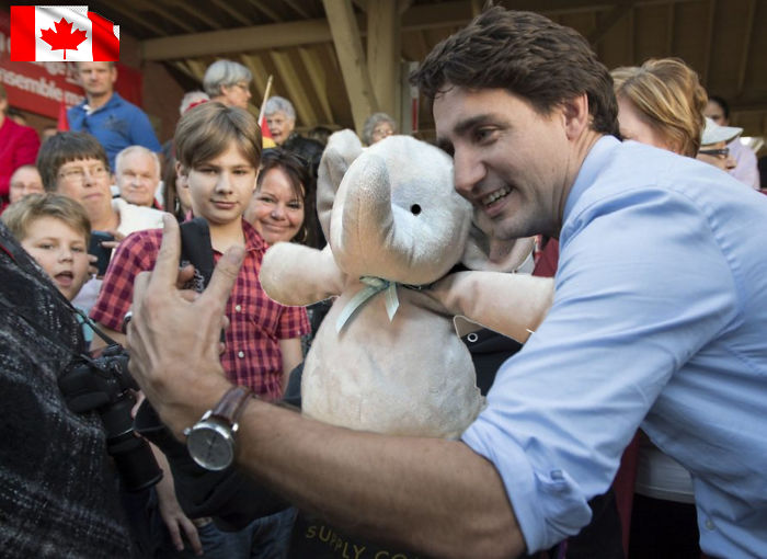 Потерянный плюшевый слоник путешествует по миру