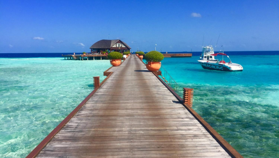 Экзотика побеждает: Мальдивы — в топе, Сейшелы прибавляют, а Маврикий показывает самый заметный рост Экзотика побеждает: Мальдивы — в топе, Сейшелы прибавляют, а Маврикий показывает самый заметный рост