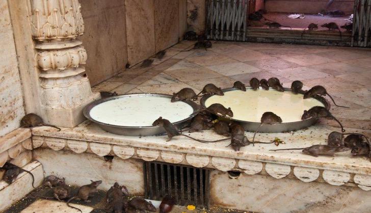 6 туристических достопримечательностей, которые понравятся не всем 6 туристических достопримечательностей, которые понравятся не всем