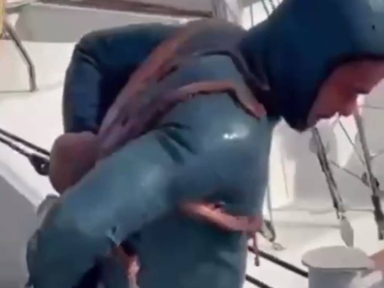 Схватка дайвера с напавшим на него осьминогом в Турции попала на видео