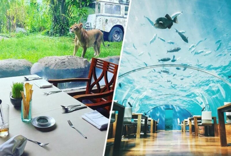 13 ресторанов, которые находятся в самых неожиданных местах 13 ресторанов, которые находятся в самых неожиданных местах