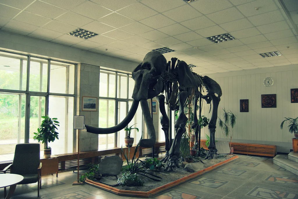 Академгородок и озеро Обь: музеи науки и сибирская природа Академгородок и озеро Обь: музеи науки и сибирская природа