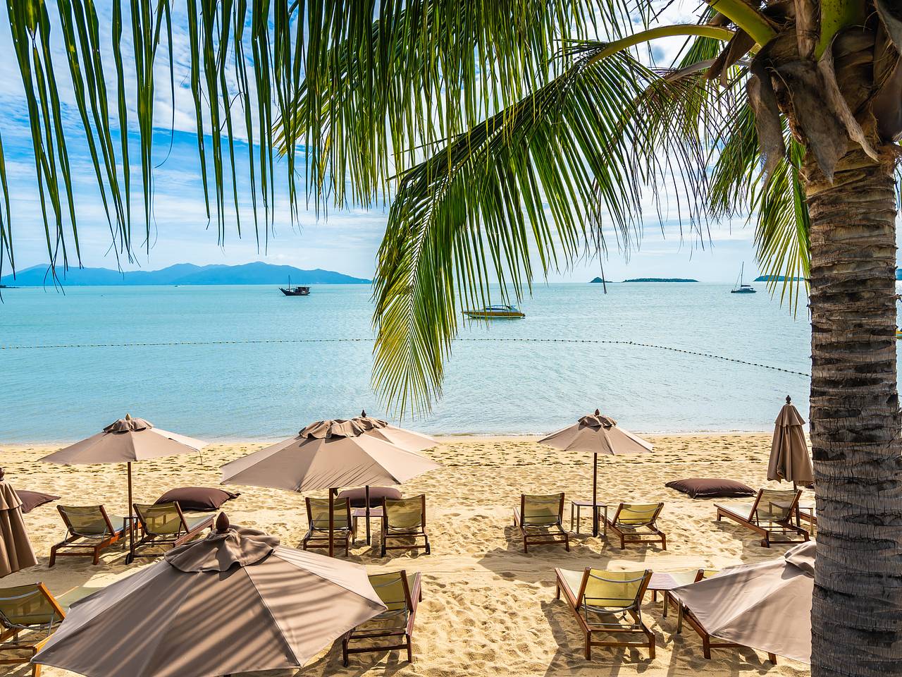 Российская туристка осталась с огромной шишкой на теле после укуса насекомого в Египте