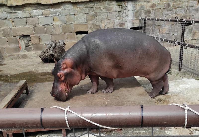 Сочи зимой 2025: горы, прогулки, экстрим, бассейны, термальные источники Сочи зимой 2025: горы, прогулки, экстрим, бассейны, термальные источники