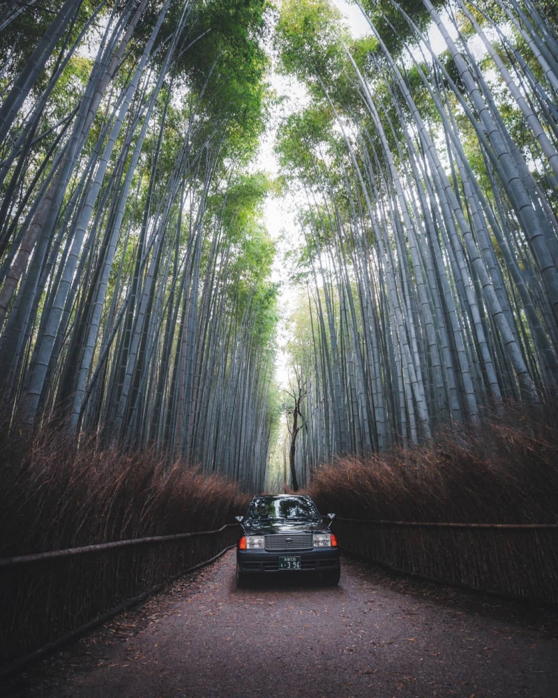 Замечательные приключенческие пейзажи Люка Джексона-Кларка