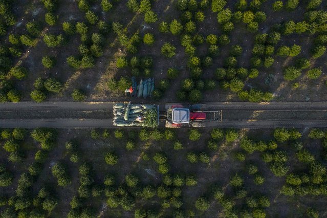 20 головокружительных видов с высоты 20 головокружительных видов с высоты