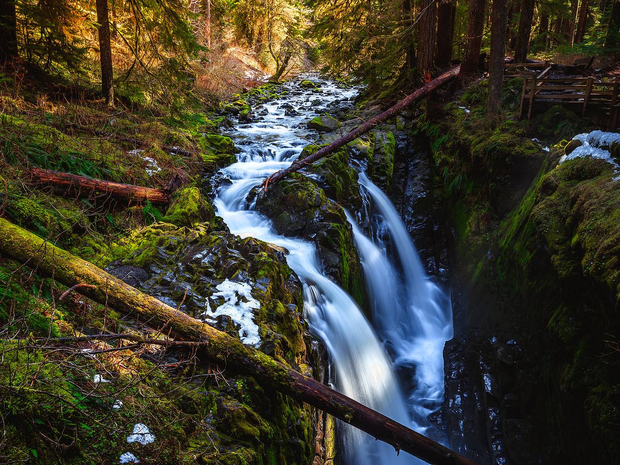 Туристка посетила национальный парк в США, бросила машину и загадочно исчезла