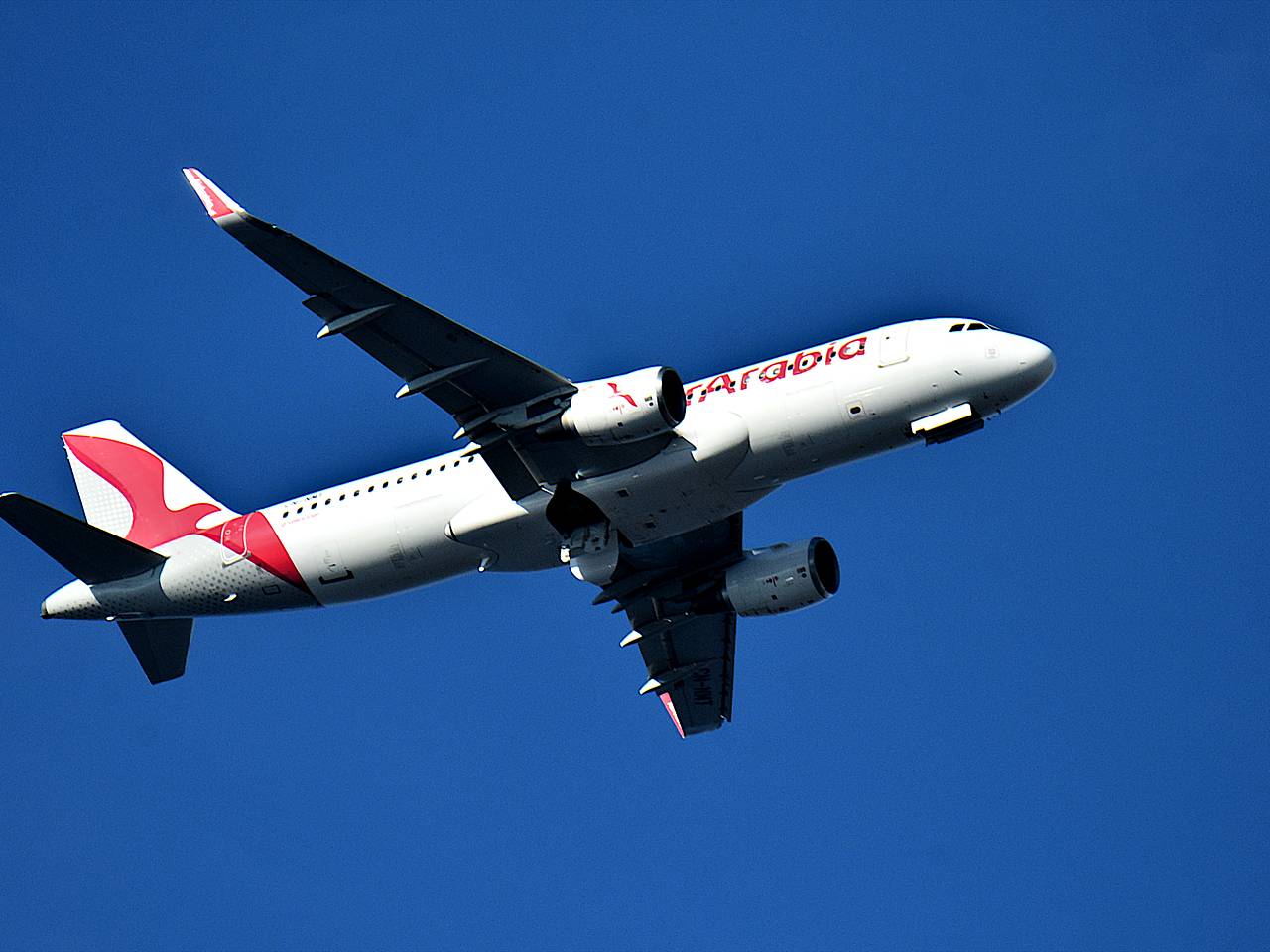 Пассажиры самолета устроили бунт на борту из-за больного попутчика и сорвали вылет