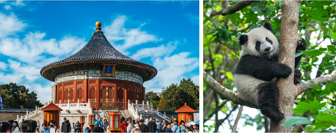 Панды, храмы, города: что ждет туристов в речных круизах по Китаю