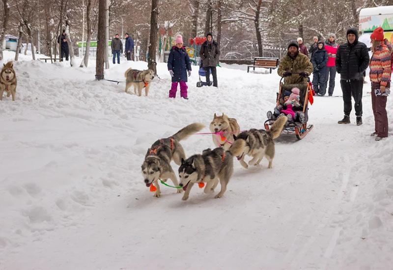 Новосибирск зимой 2025: куда сходить, где отдохнуть, что посмотреть Новосибирск зимой 2025: куда сходить, где отдохнуть, что посмотреть