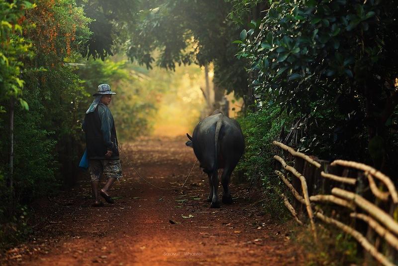 Сказочно красивый Таиланд в фотографиях Саравута Вансета