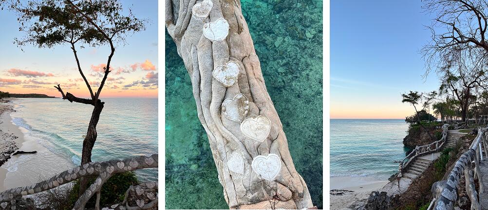 Ольгин на Кубе вновь принимает туристов. Что продавать? Ольгин на Кубе вновь принимает туристов. Что продавать?