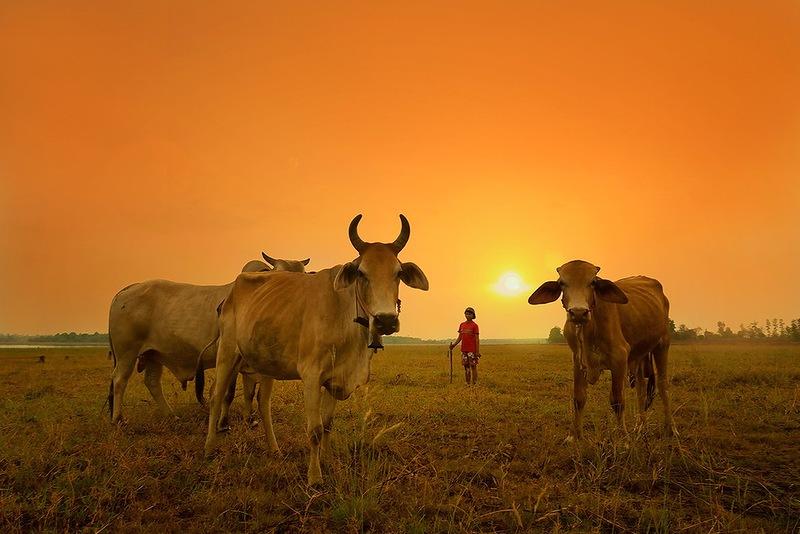 Сказочно красивый Таиланд в фотографиях Саравута Вансета