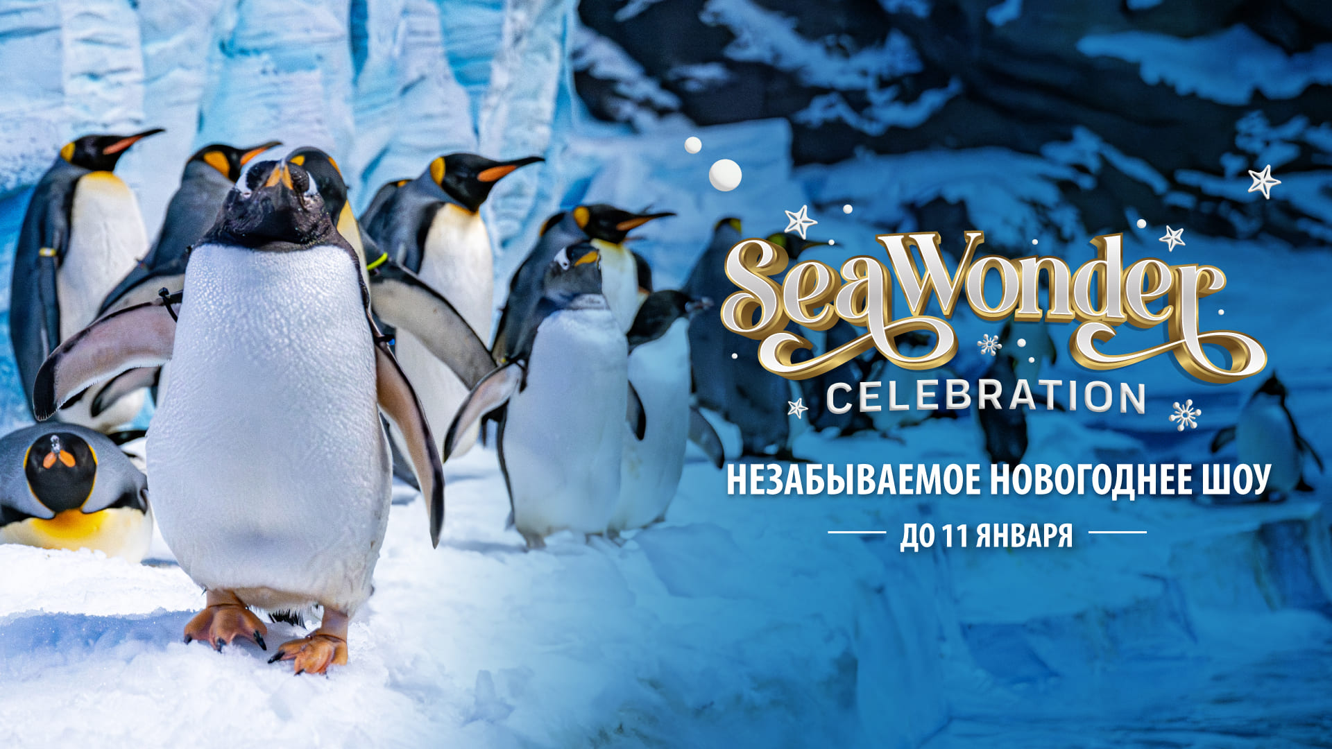 Новогодний сезон в Абу-Даби: как выбрать развлечения для всей семьи