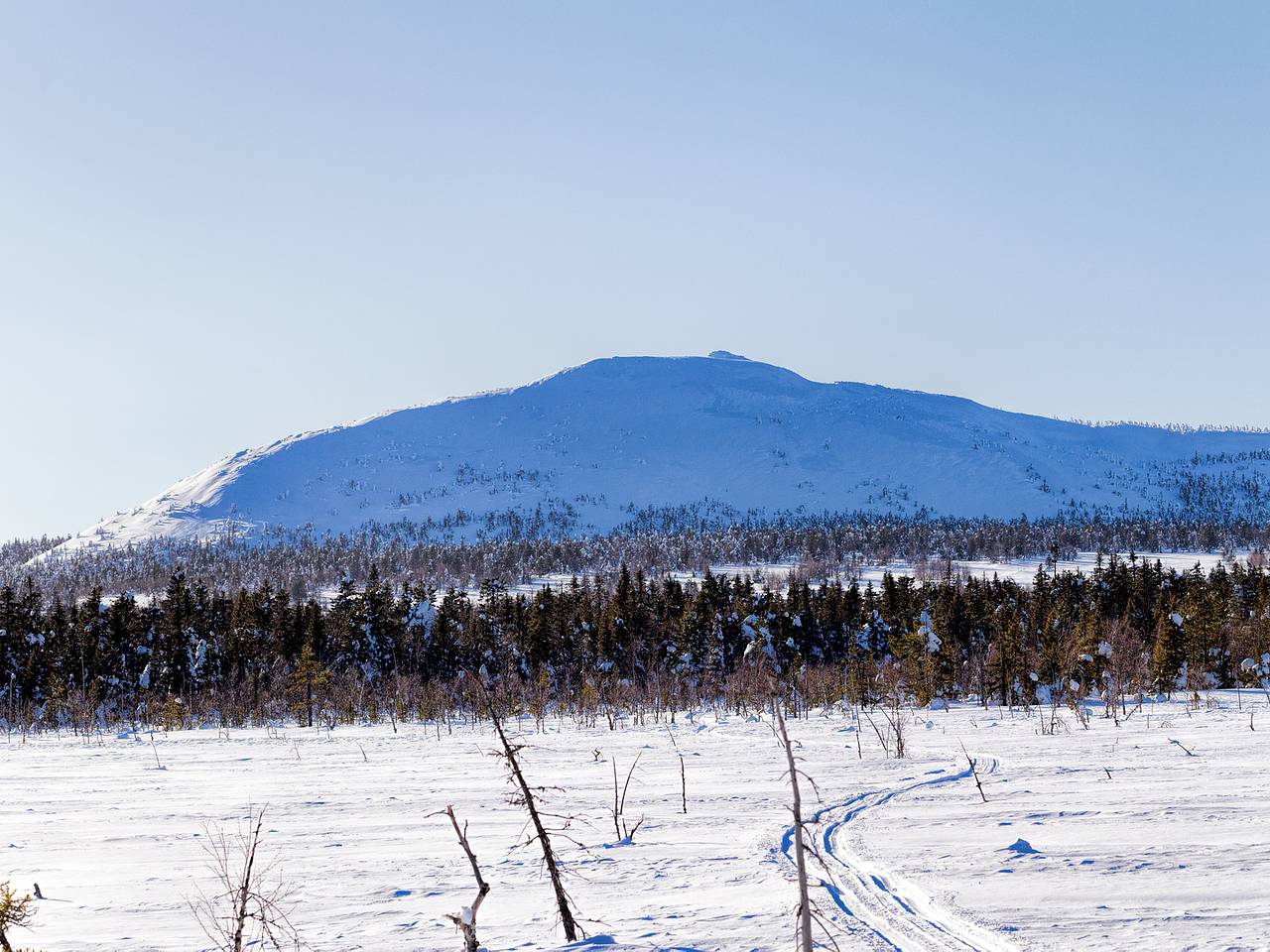 Выживший на горе Ослянка россиянин описал свой опыт фразой &laquo;нас уже похоронили&raquo;