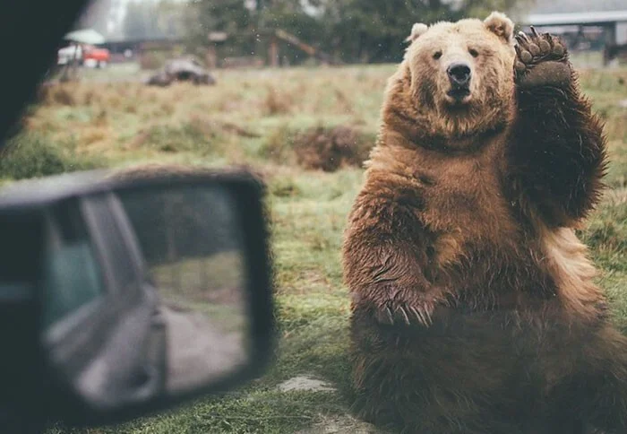 Местные делятся тем, какие выходки туристов особенно выбесили их Местные делятся тем, какие выходки туристов особенно выбесили их