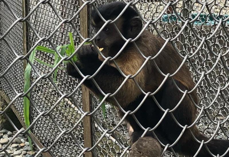 Сочи зимой 2025: горы, прогулки, экстрим, бассейны, термальные источники Сочи зимой 2025: горы, прогулки, экстрим, бассейны, термальные источники