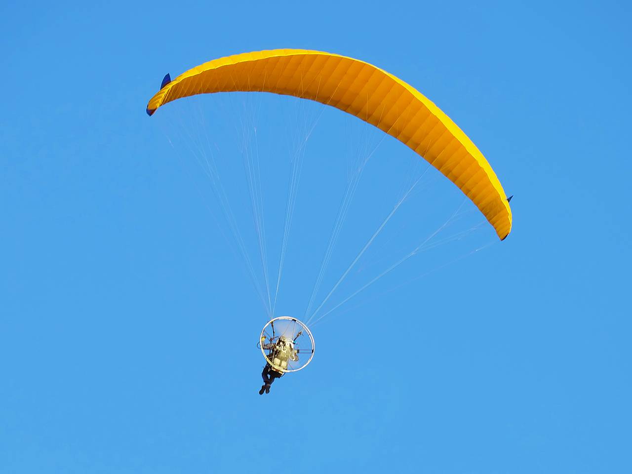 Туристы отправились в горы и обнаружили на дереве застрявшего парапланериста