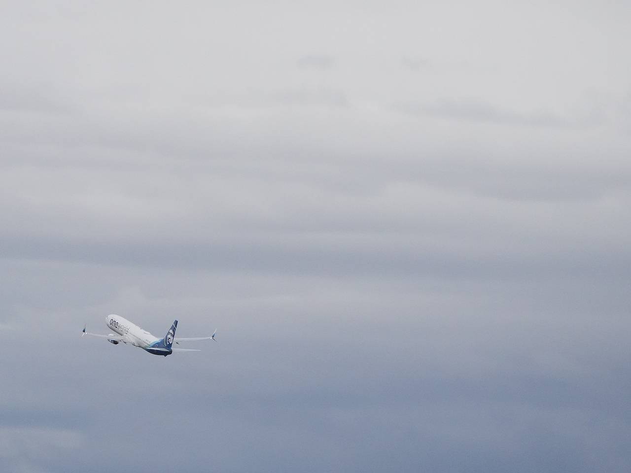 Пассажир с галлюцинациями попытался открыть дверь самолета на высоте пять тысяч метров