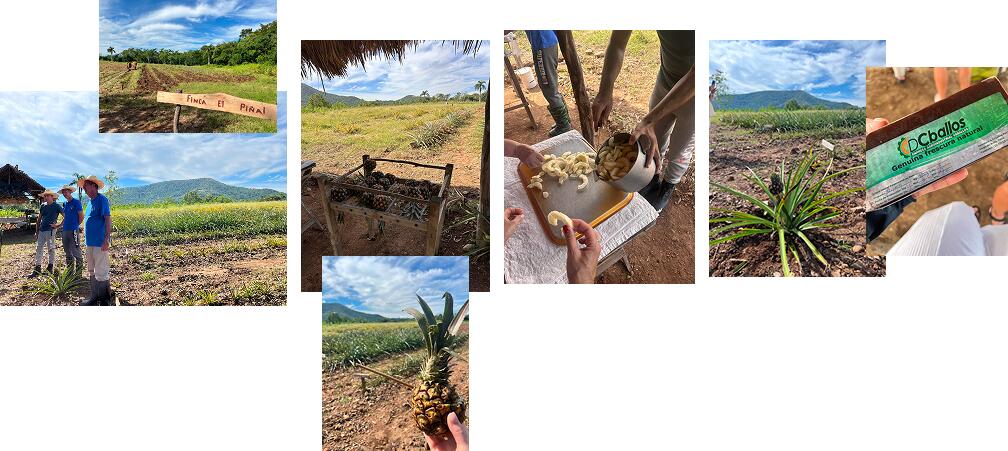 Экскурсии в Ольгине на Кубе: полный гид для турагентов Экскурсии в Ольгине на Кубе: полный гид для турагентов