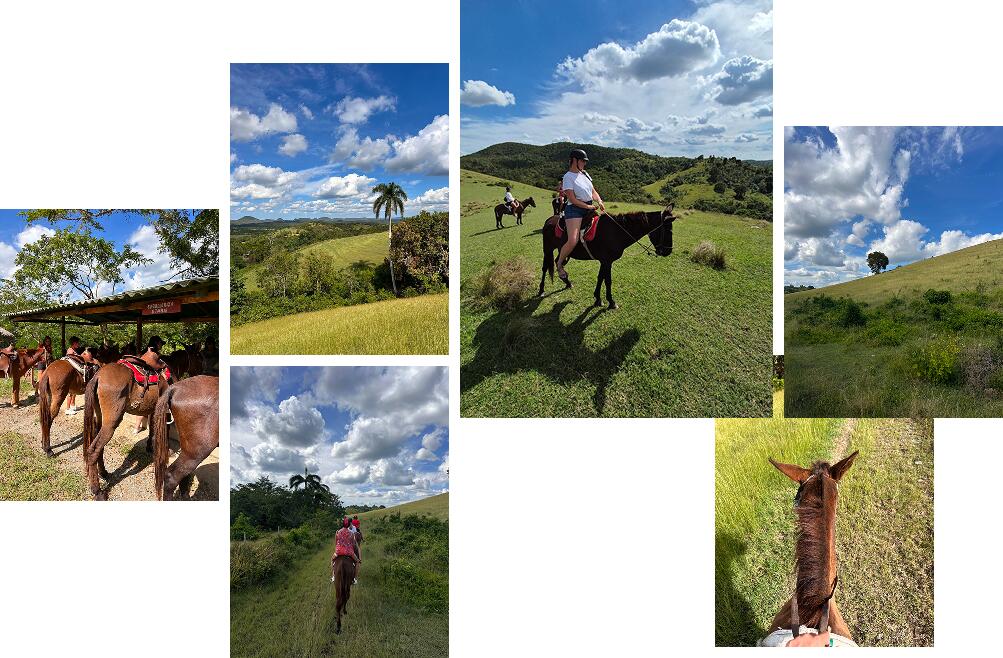 Экскурсии в Ольгине на Кубе: полный гид для турагентов Экскурсии в Ольгине на Кубе: полный гид для турагентов