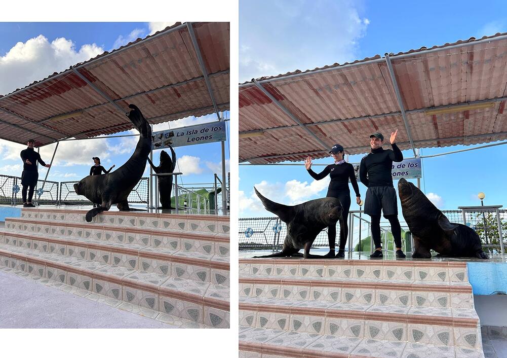 Экскурсии в Ольгине на Кубе: полный гид для турагентов Экскурсии в Ольгине на Кубе: полный гид для турагентов