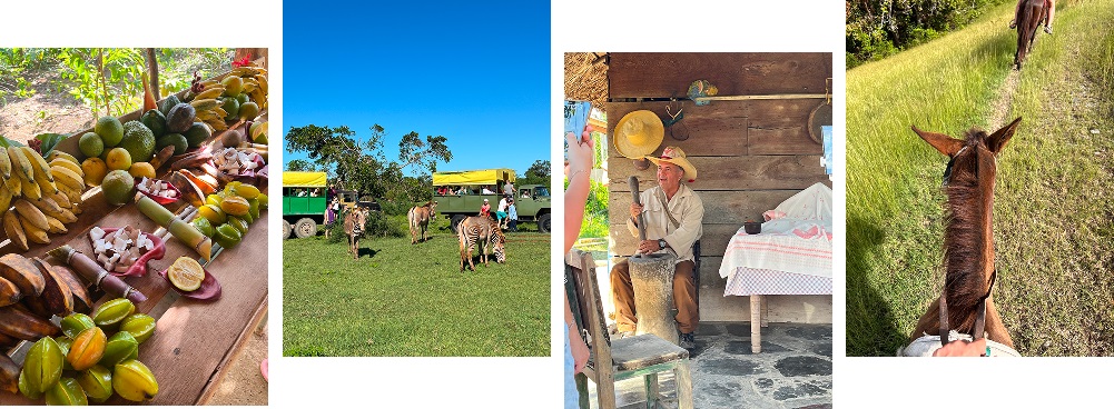 Ольгин на Кубе вновь принимает туристов. Что продавать? Ольгин на Кубе вновь принимает туристов. Что продавать?