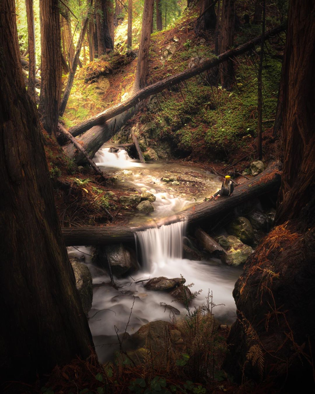 Путешествия и приключения на снимках Пейдж Тинги