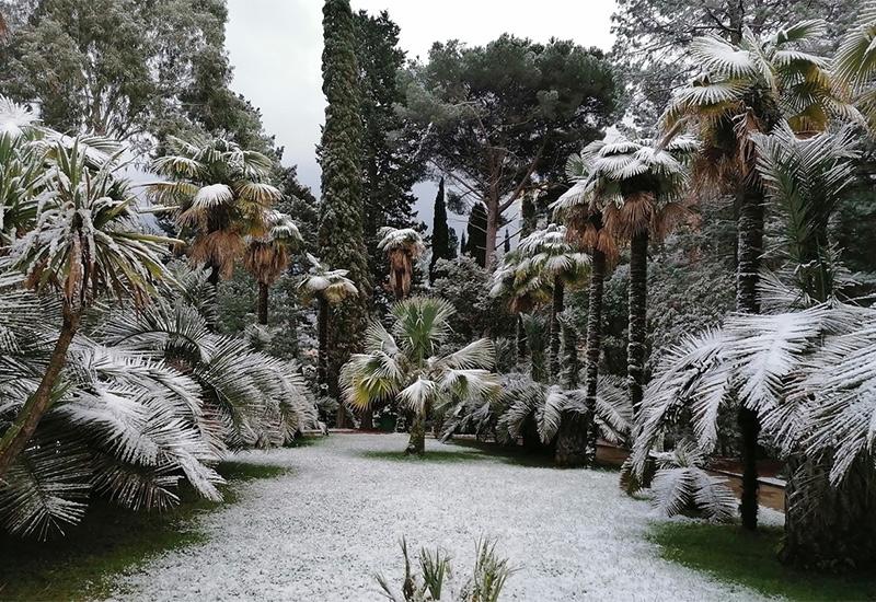 Сочи зимой 2025: горы, прогулки, экстрим, бассейны, термальные источники Сочи зимой 2025: горы, прогулки, экстрим, бассейны, термальные источники