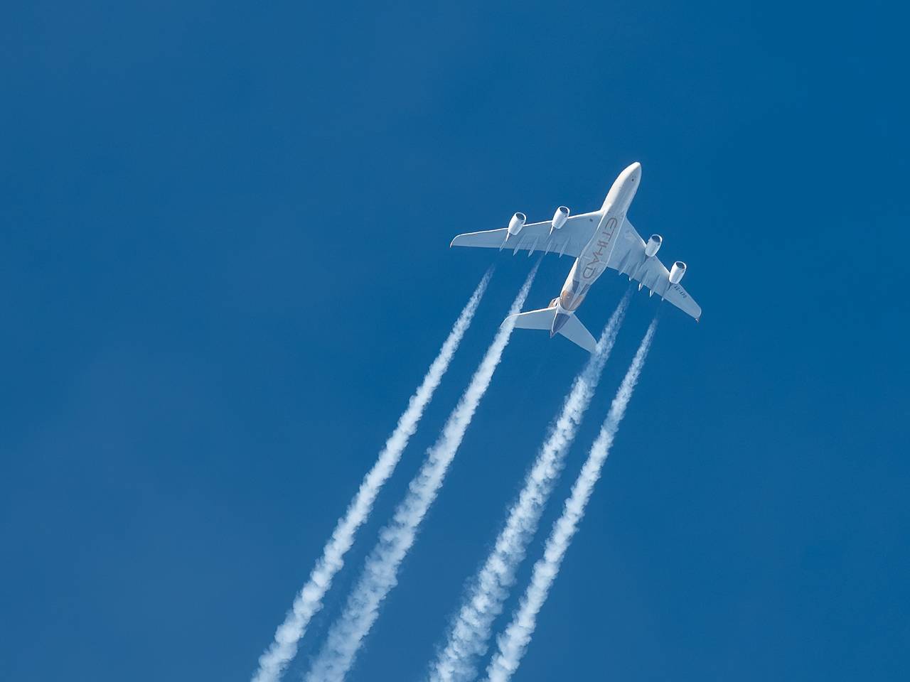 Страна ЕС захотела восстановить авиасообщение с Россией