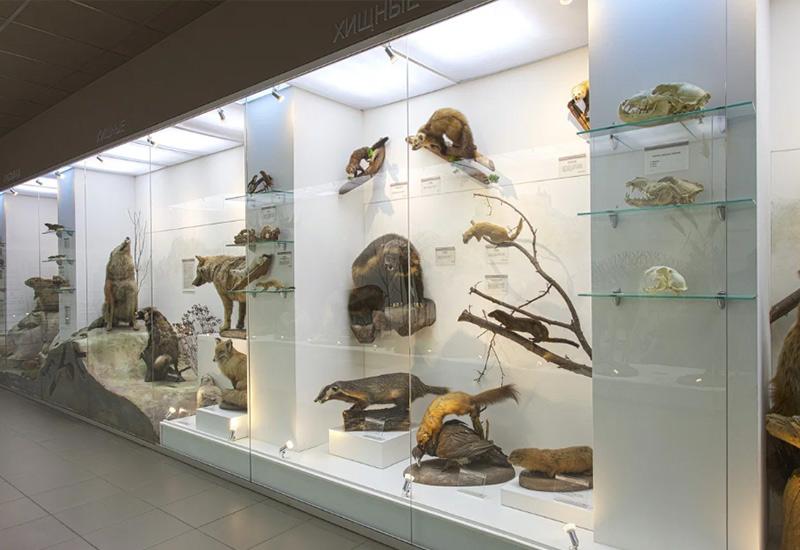 Новосибирск зимой 2025: куда сходить, где отдохнуть, что посмотреть Новосибирск зимой 2025: куда сходить, где отдохнуть, что посмотреть