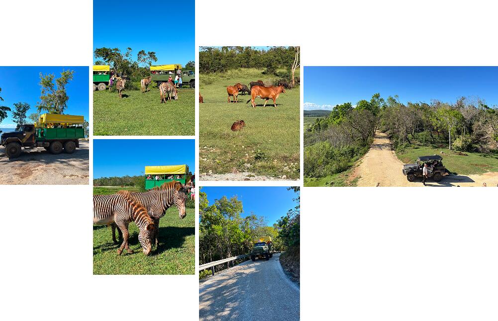 Экскурсии в Ольгине на Кубе: полный гид для турагентов Экскурсии в Ольгине на Кубе: полный гид для турагентов