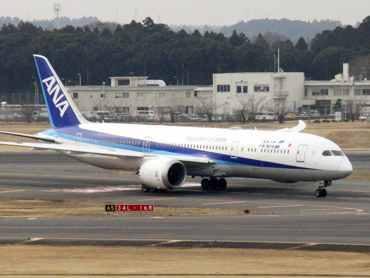 Пассажирский самолет получил вмятины после столкновения с птицами при заходе на посадку