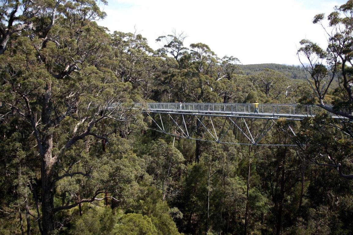 Самые красивые пешеходные мосты мира Самые красивые пешеходные мосты мира